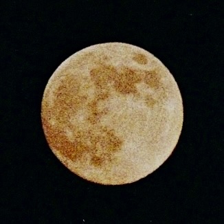 Moon Logo for Audio Engineering Portfolio